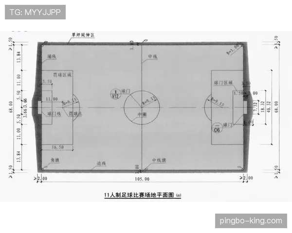 球场尺寸规则：国际赛与业余场地的长宽标准